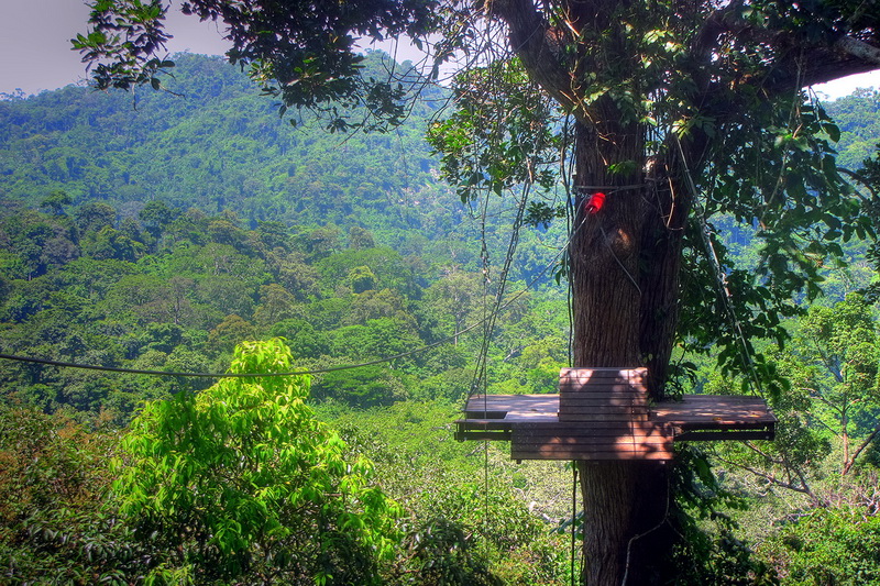 Thailand, Pattaya, Flight of the Gibbon